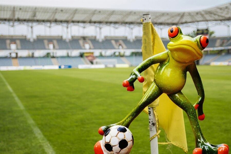 frog